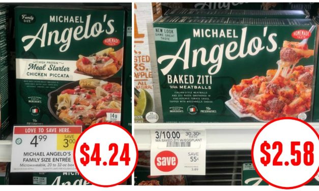 Nice Deals On Michael Angelo’s Entrees At Publix – Sale & Cash Back Offer!