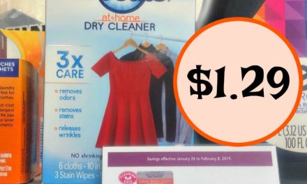 Woolite At-Home Dry Cleaner As Low As $1.29 At Publix