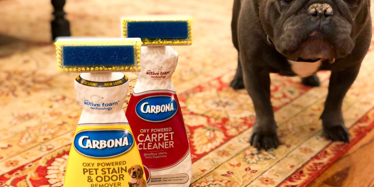 Get Carbona Carpet Cleaner As Low As 70¢ At Publix