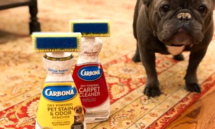 Get Carbona Carpet Cleaner As Low As 85¢ At Publix