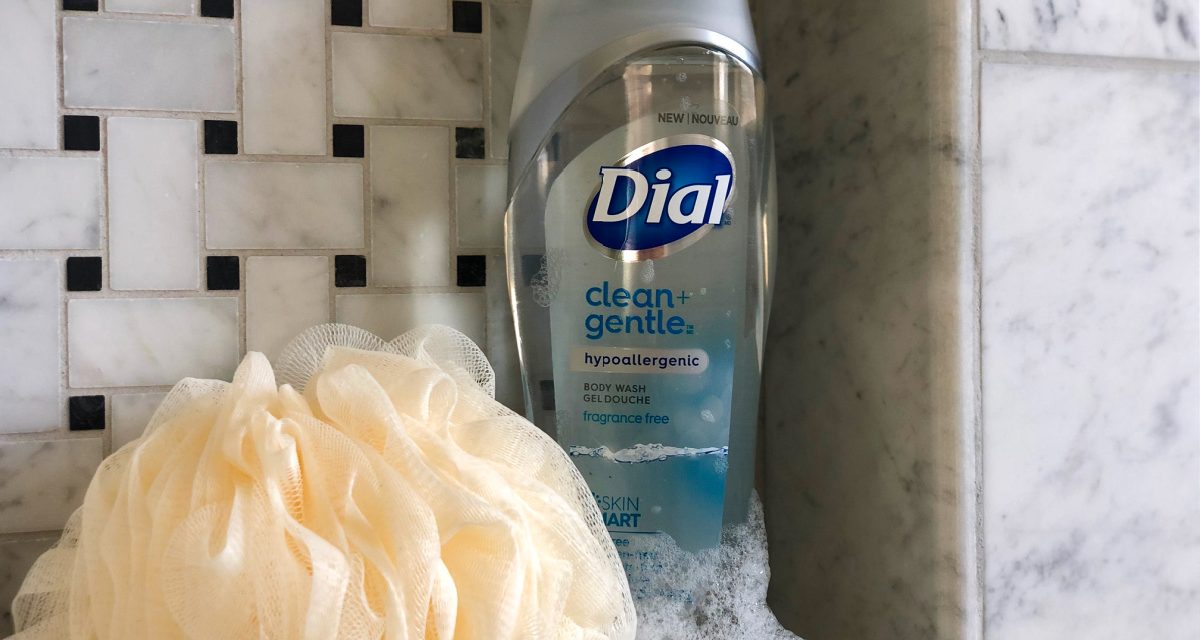 Dial Body Wash Just $2.33 Per Bottle At Publix