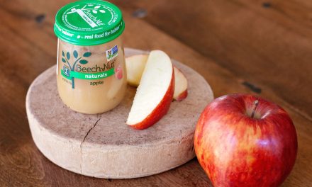 Beech-Nut Baby Food Jars As Low As 80¢ At Publix
