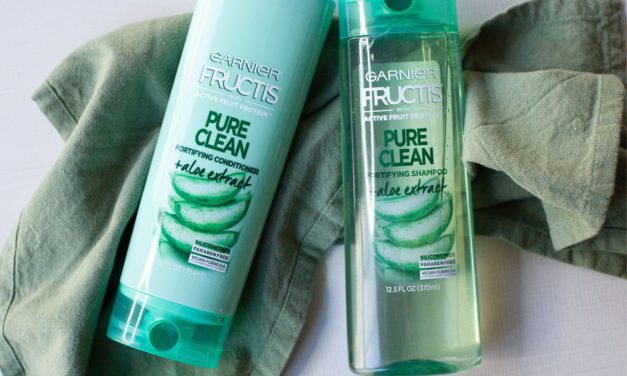 Garnier Fructis Coupon Makes Haircare Just $2 Per Bottle At Publix