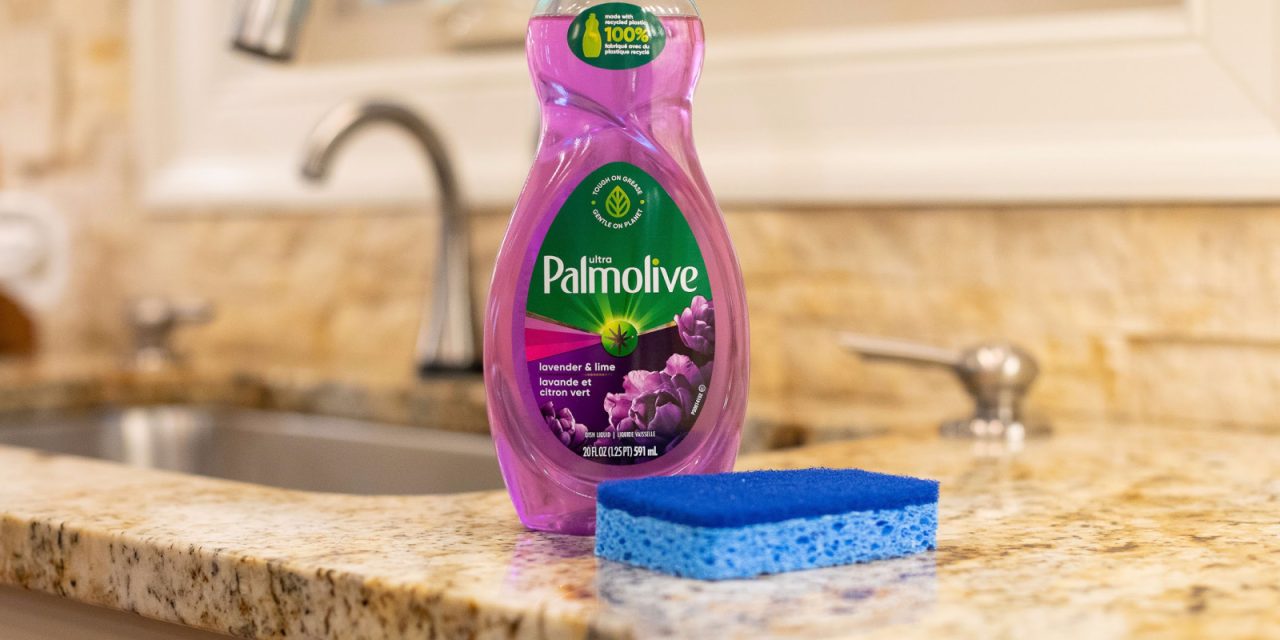 Palmolive Ultra Dish Soap Just $1.04 At Publix