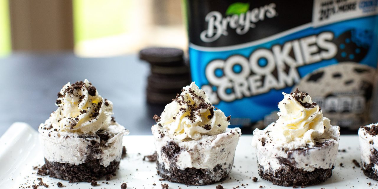 Breyers Coupons Makes Ice Cream As Low As $2.05 At Publix