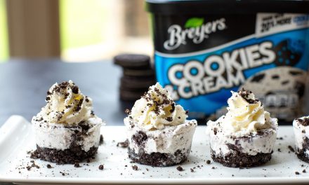 New Breyers Coupons Makes Ice Cream As Low As $2.05 At Publix