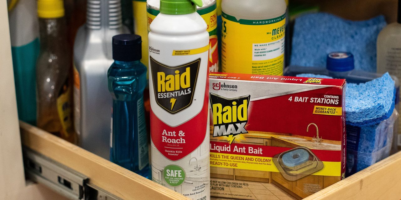 New Season, New Pests – Tackle Them With Your Favorite Raid® Products & Save At Publix